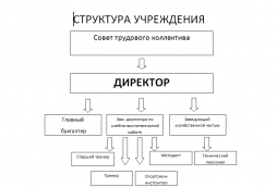 Структура учреждения